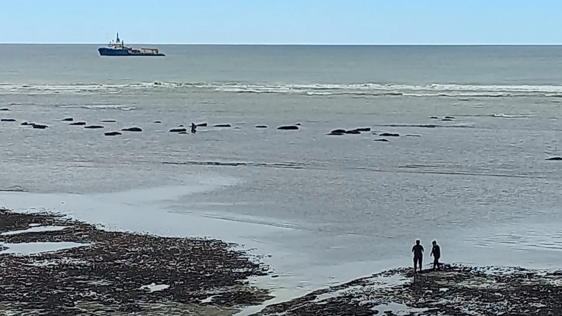 WhatsApp Image 2023-12-16 at 2.44.16 PM