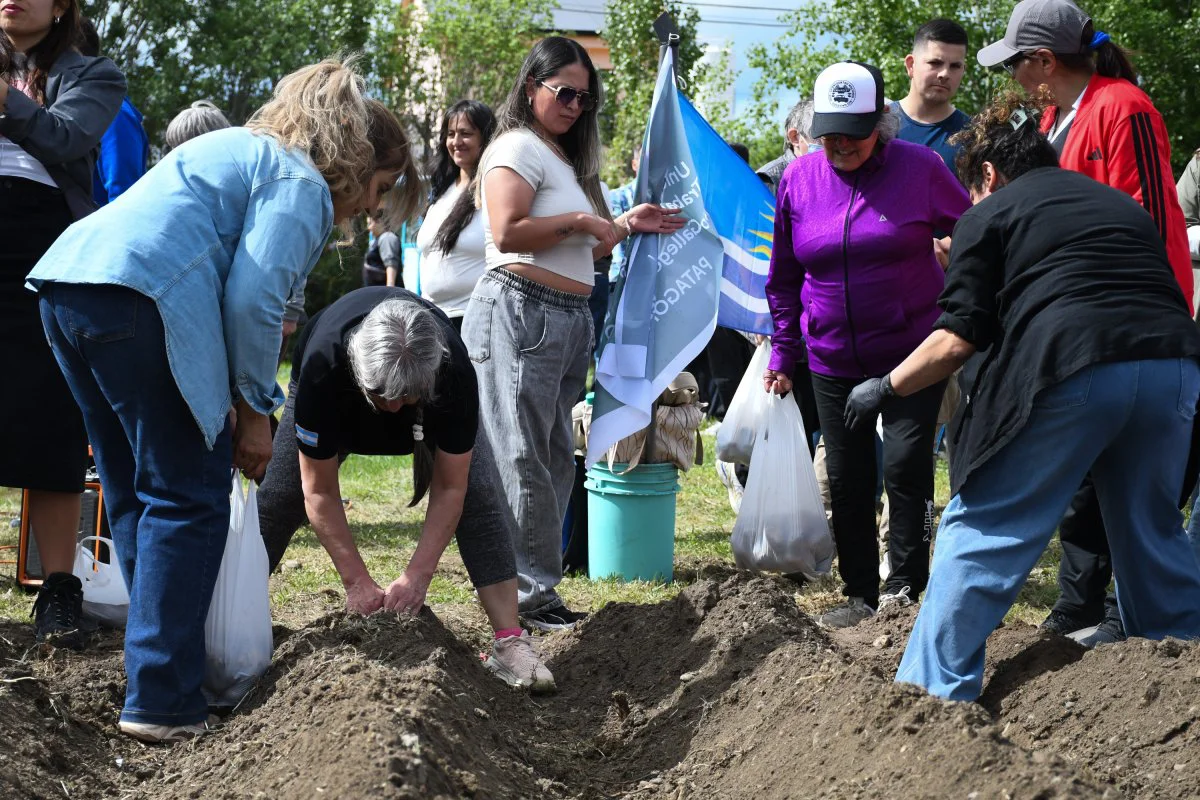 31102026-11