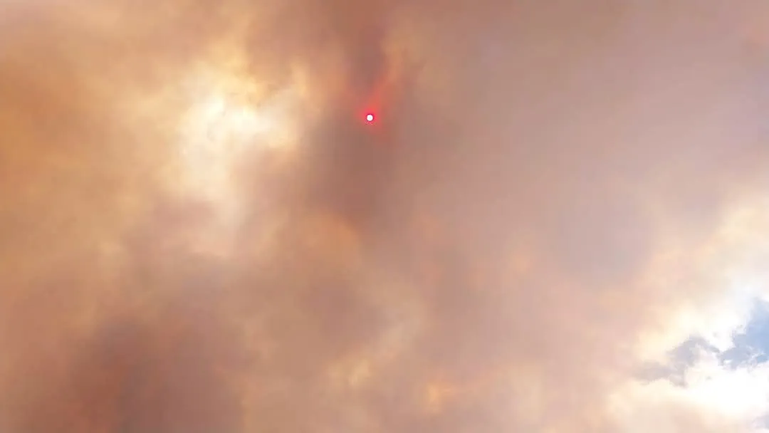 FB_IMG_1736973497526