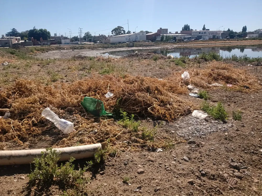 WhatsApp Image 2024-01-29 at 13.55.29