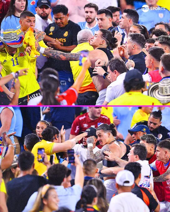 Darwin Núñez pelea platea