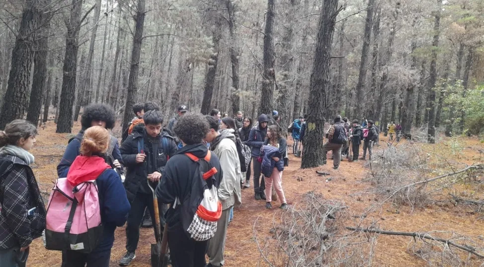 Screenshot_20240611_075700_Facebook