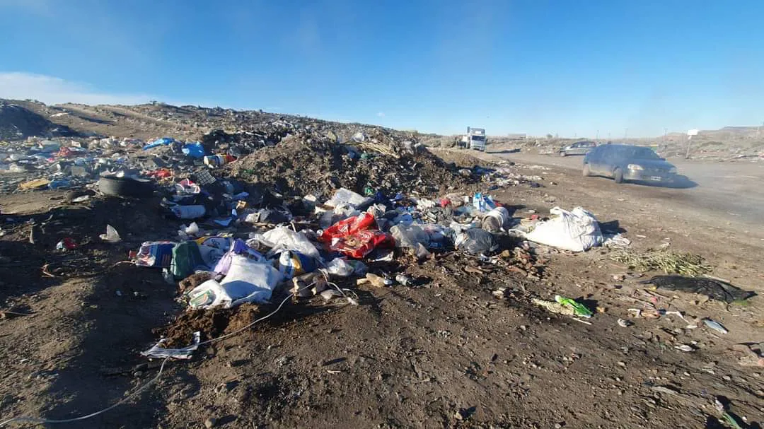 FB_IMG_1721154503494