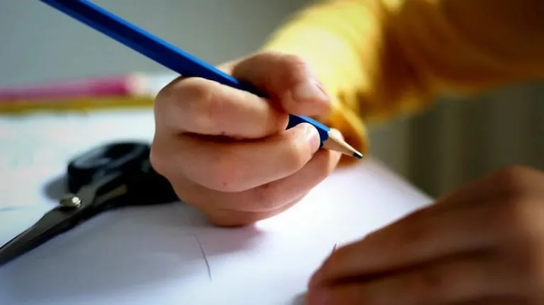 anses-dio-a-conocer-la-fecha-limite-de-la-ayuda-escolar-anual-5J466MP6JNFVVHLKIHHPIURRXE