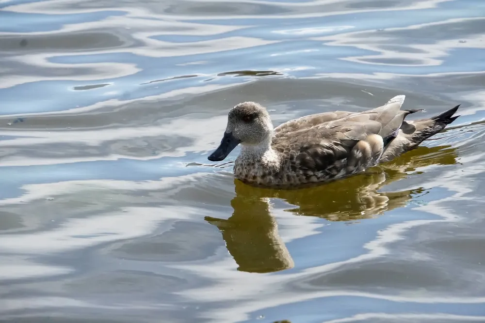 FB_IMG_1773673462325