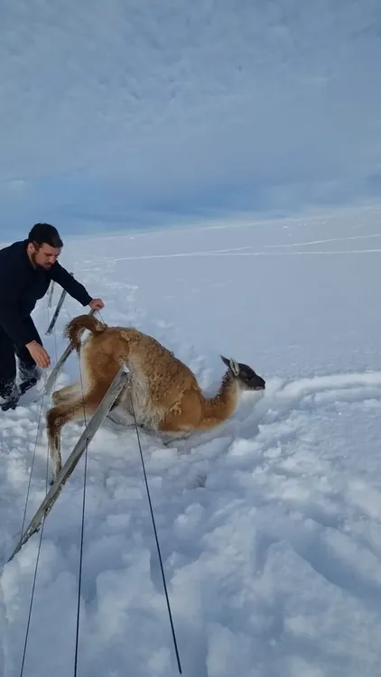 b38503fd-1d60-45e5-829d-905db5cba3e7