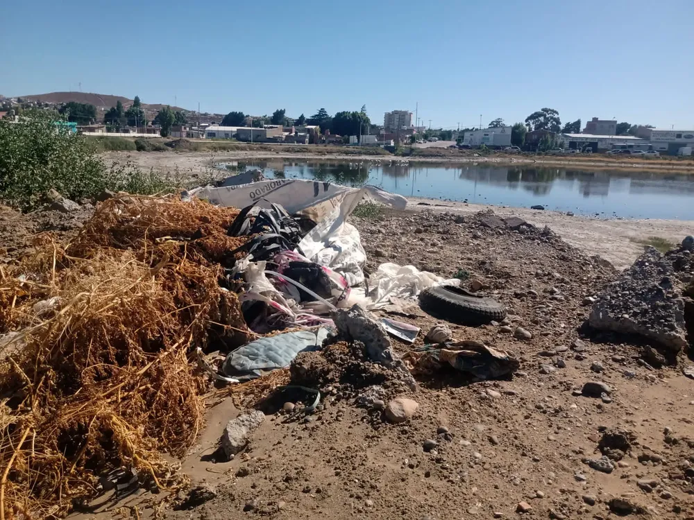 WhatsApp Image 2024-01-29 at 13.55.28 (1)