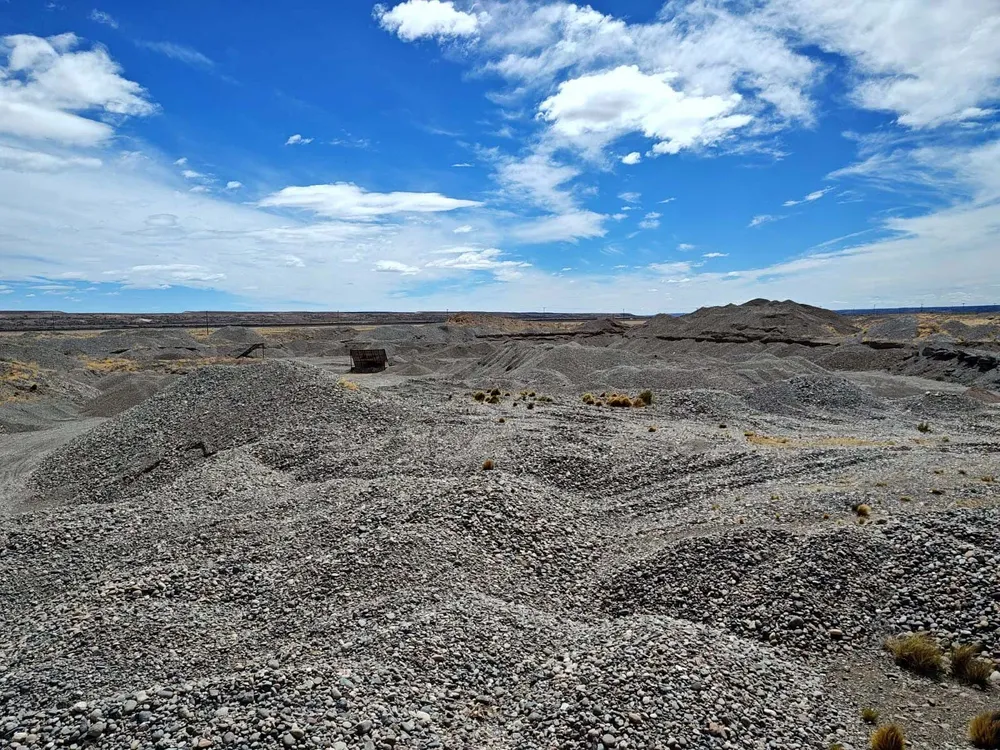 INSPECCIN_CONTROL_AMBIENTAL_DEL_MOSQUITO_6