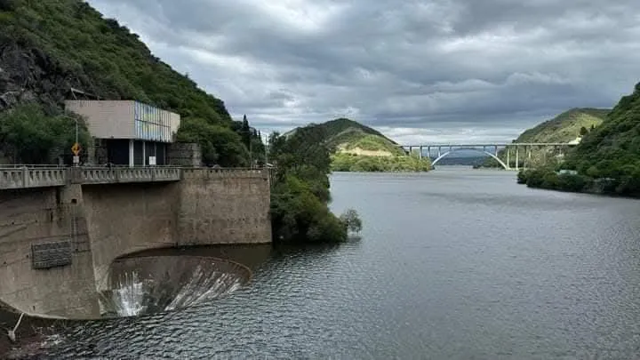 FB_IMG_1733075324269