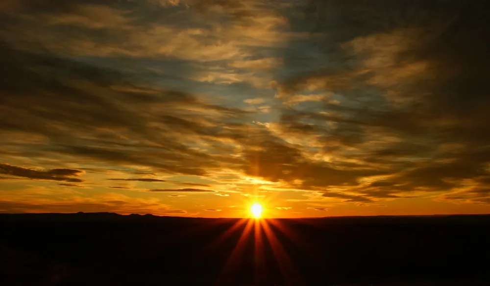 IMG-20240125-WA0068