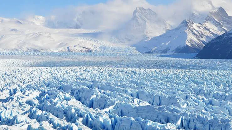 images - 2026-03-22T161729.777