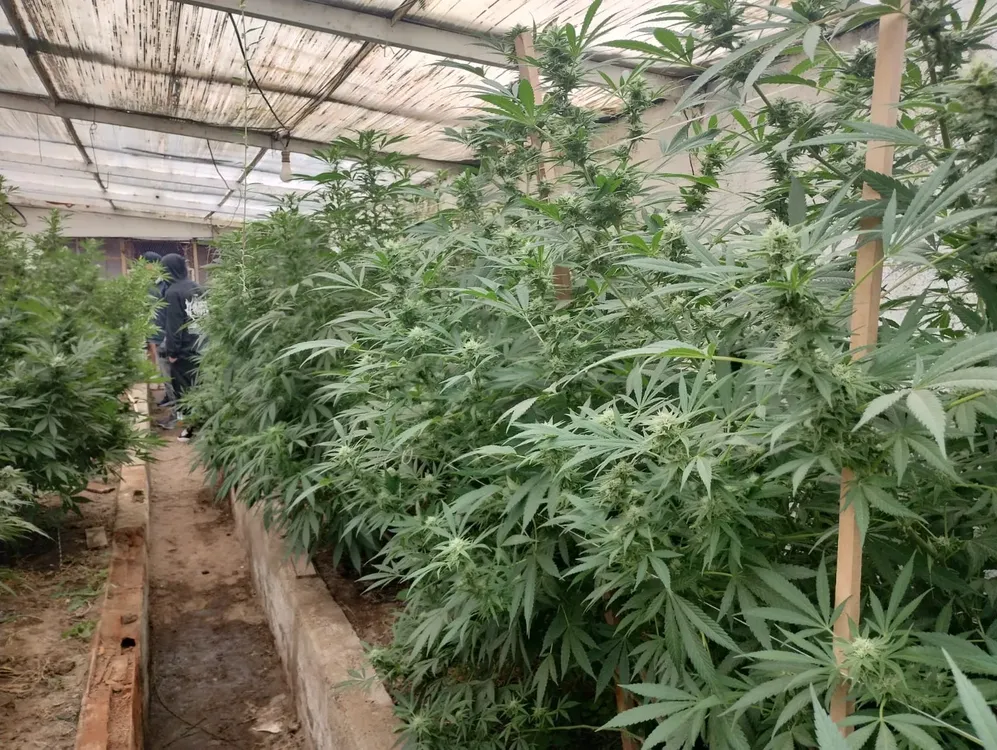 63f4208a-f9a6-4815-99c6-889fdf4832db