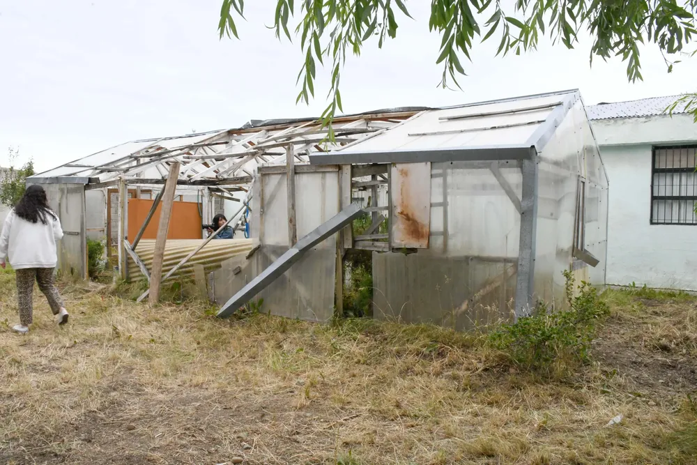 20250114_RECORRIDA_CPE_VIDAL_18