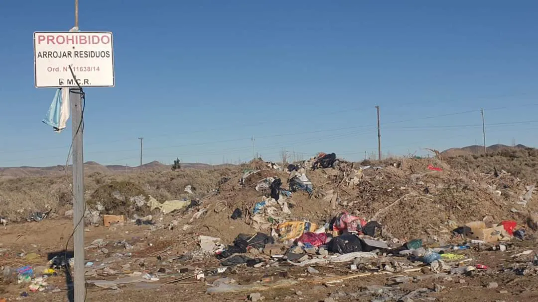 FB_IMG_1721154505949