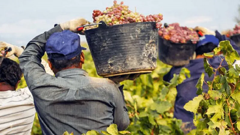 trabajadores-vina