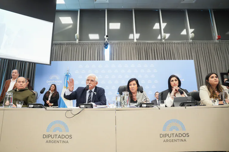 plenario-comisiones-de-defensa-legislacion-penal-y-rr-ee-de-diputados-conducidas-por-carlos-zapata-laura-rodriguez-machado-y-julieta-santillan-se-reuniran-el-martes-proximo-foto-diputados-FUAUEHBZH5DLZPCPJDM7ZV56PU