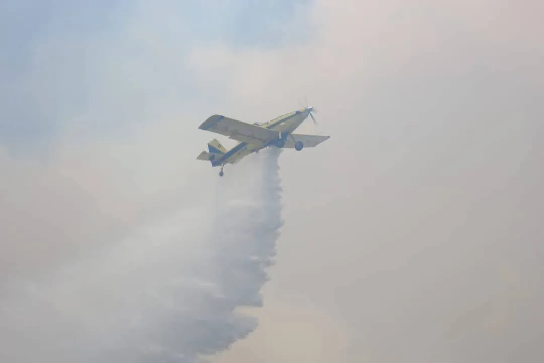 FB_IMG_1736973493744