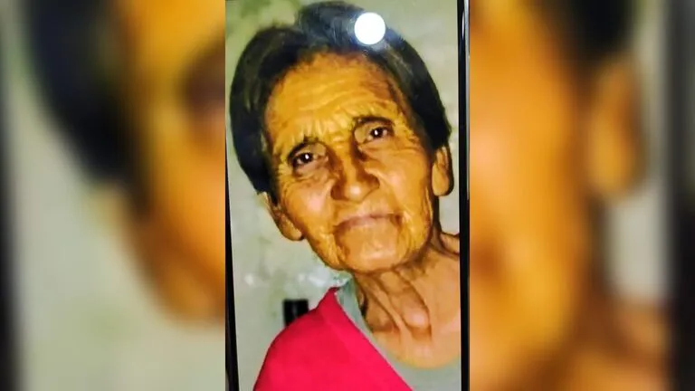 WhatsApp-Image-2025-11-19-at-11.45.04-768x432