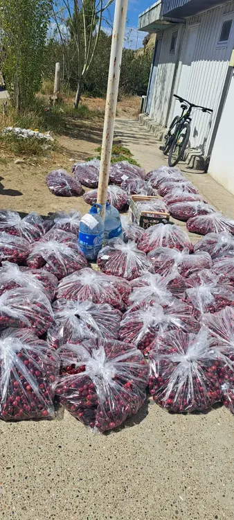 WhatsApp Image 2023-12-28 at 11.57.57 (1)