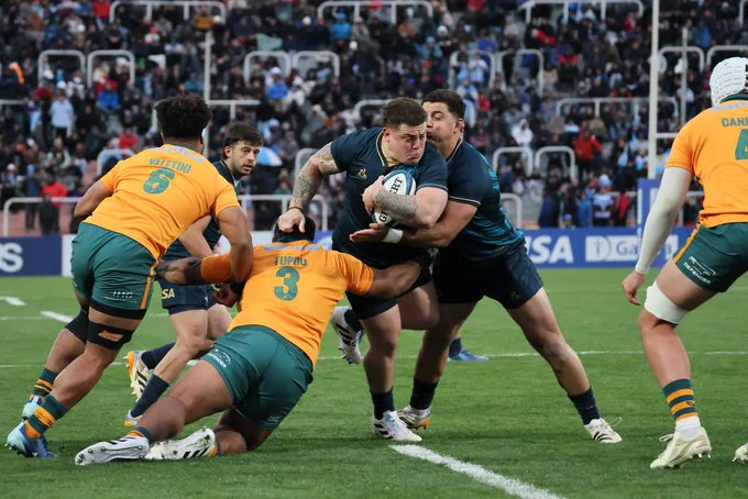 Los Pumas Walabies