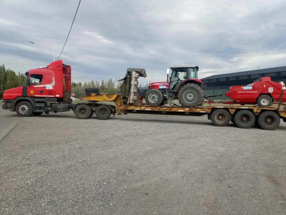 WhatsApp_Image_2025-01-11_at_15.35.02_1