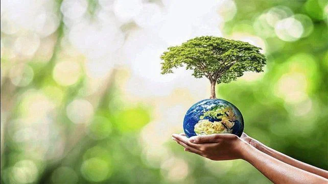 dia-tierra-plasticos-contaminacion-onu-naciones-unidas-1jpg