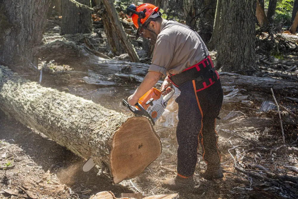 MDSII_LEA_PLAN_INVERNAL_20