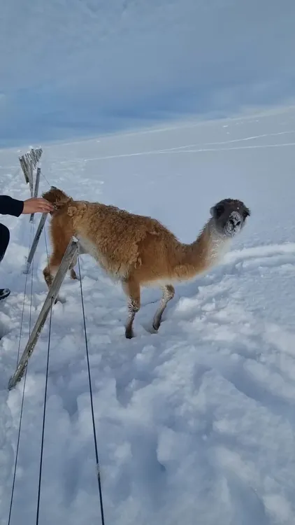 0868a010-3b06-4e05-8626-b3ea831d7729