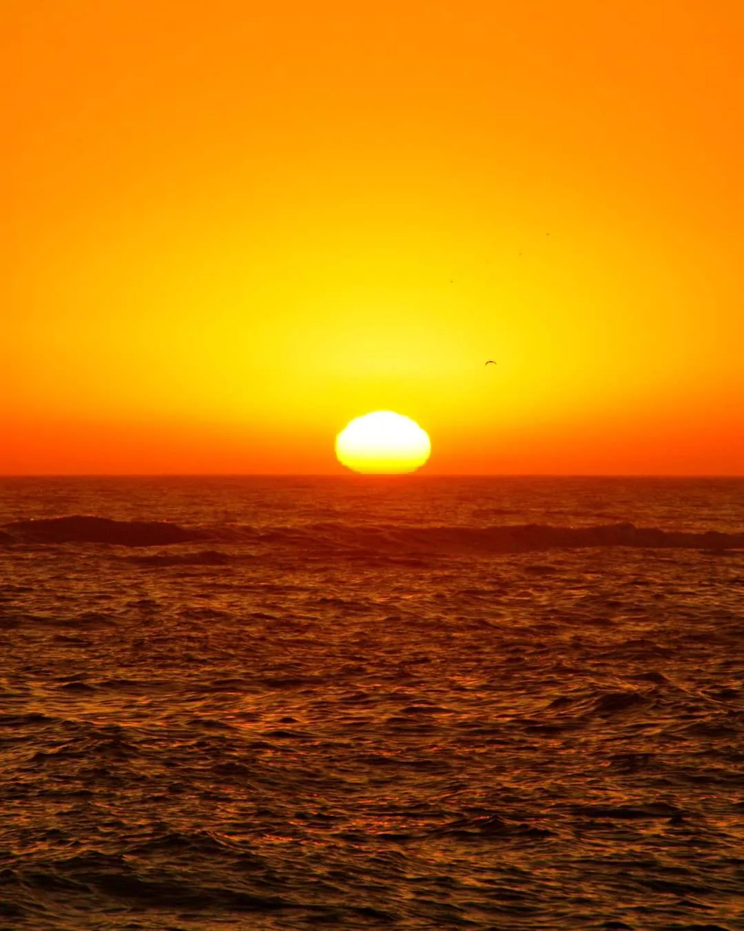 FB_IMG_1704365823183