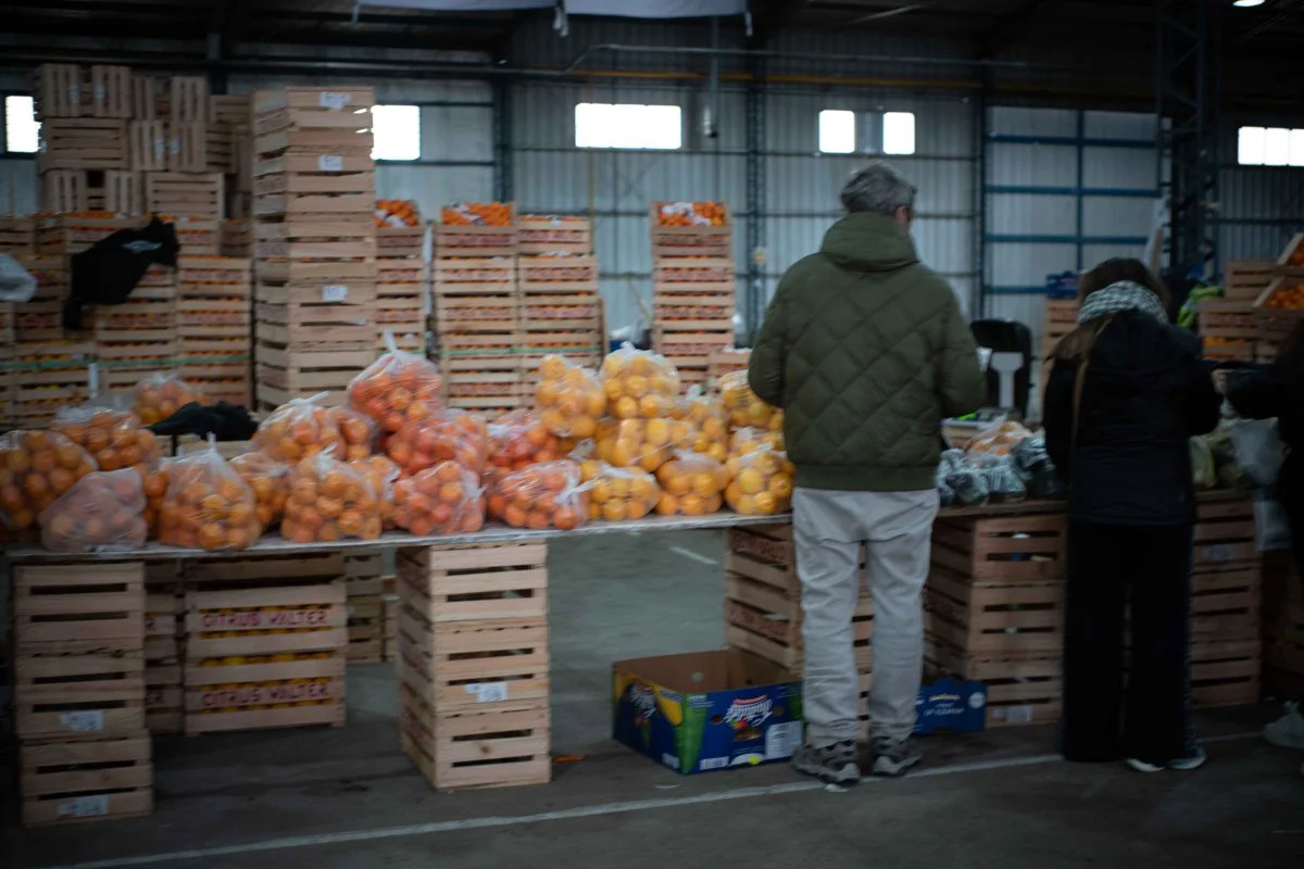 mercado__12_de_14_