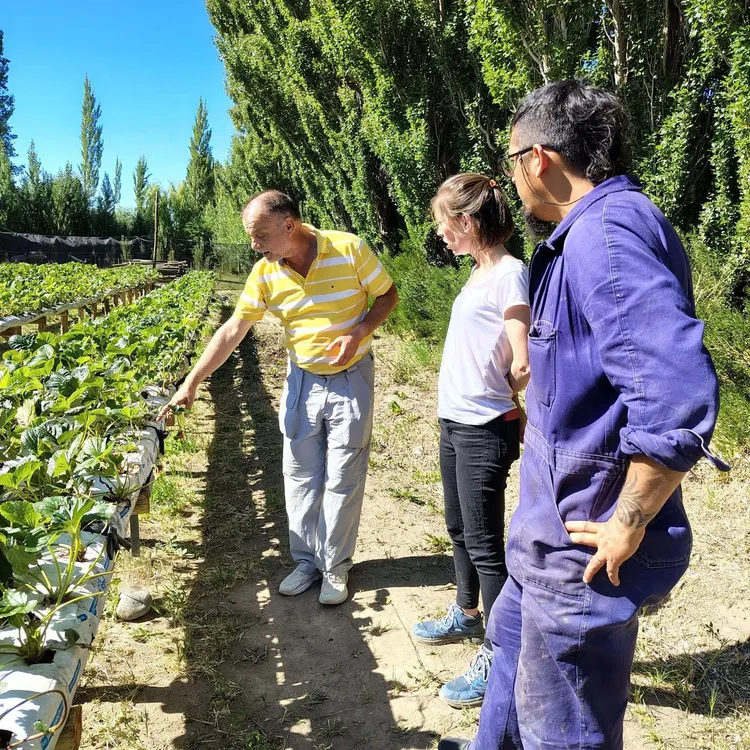 WhatsApp_Image_2025-01-11_at_15.35.03_3