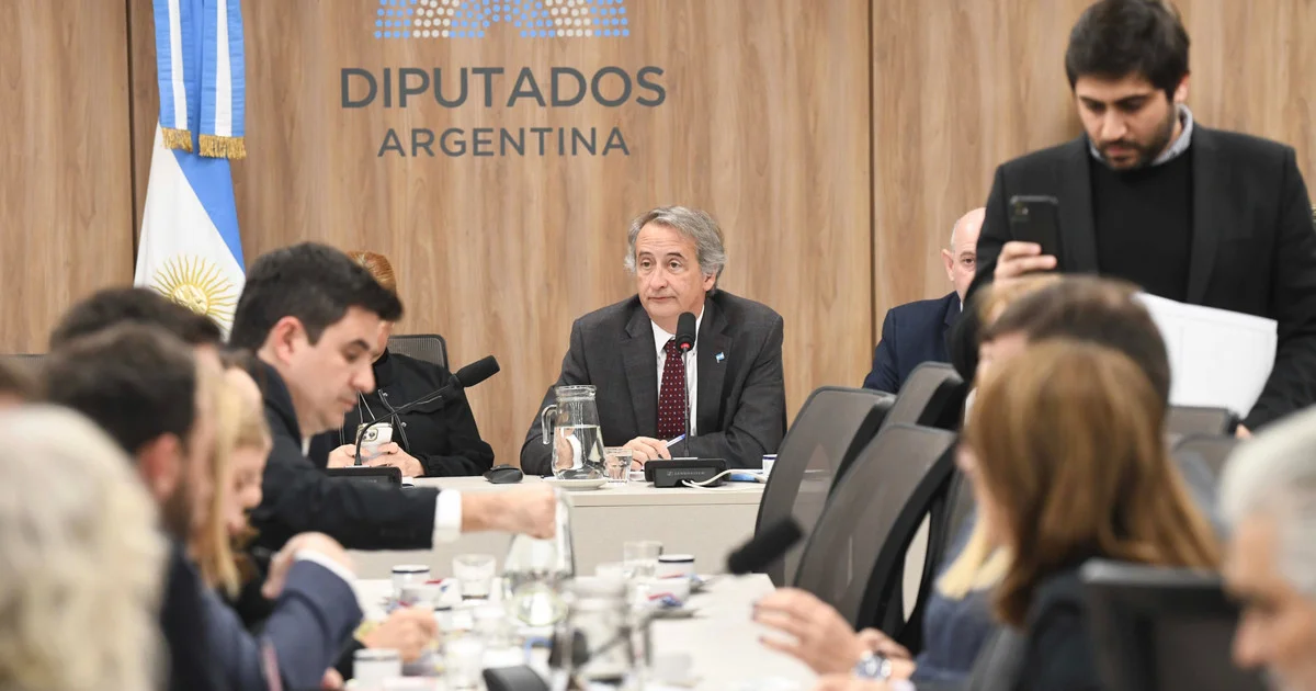 149582-ley-de-glaciares-la-polemica-por-las-audiencias-publicas-y-la-cantidad-de-inscriptos-69bde2f87e34f