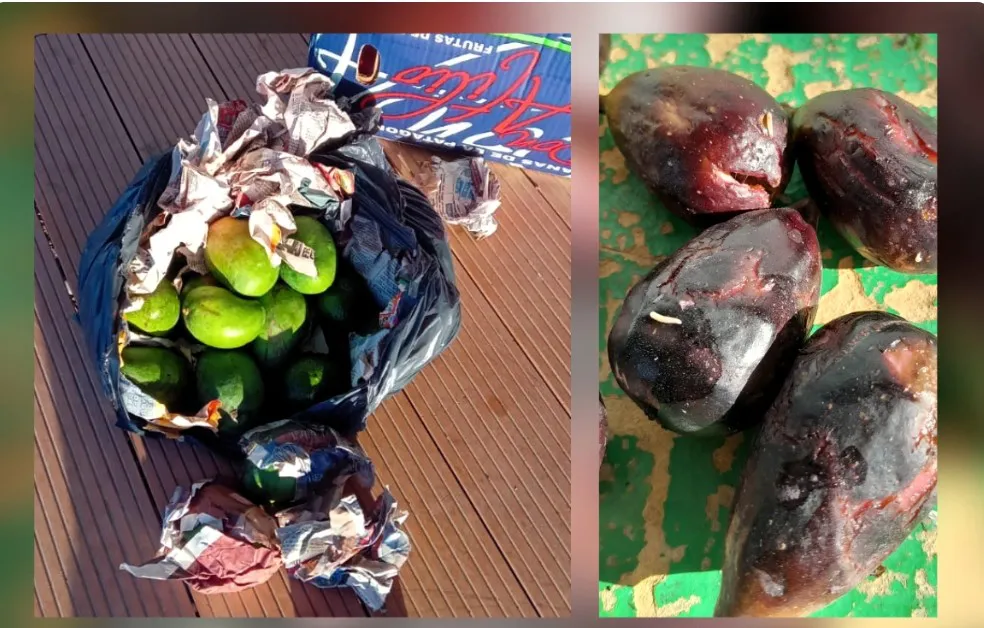 Screenshot_20240127_220413_Facebook~2