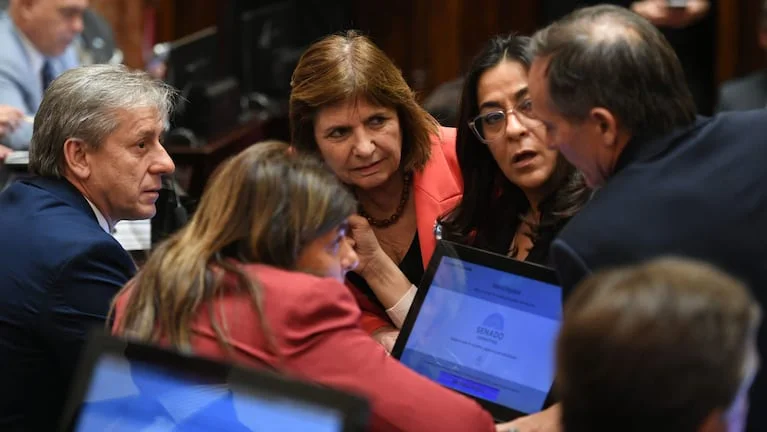 patricia-bullrich-presentara-este-martes-las-modificaciones-al-proyecto-de-propiedad-privada-en-una-conferencia-de-prensa-en-el-senado-foto-senado-ANFOB73TBVGBDKHJQYADPQZMYA