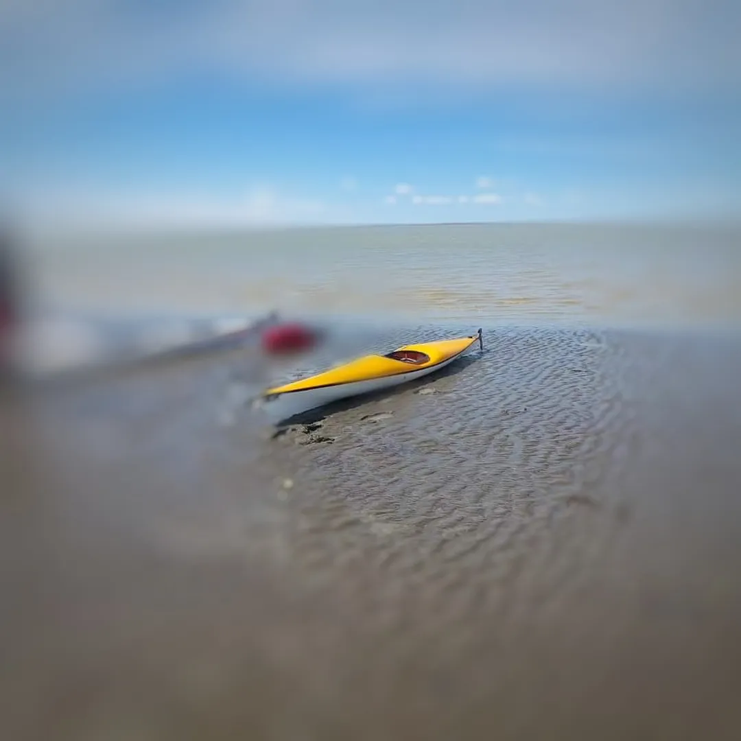 FB_IMG_1705088299575-01