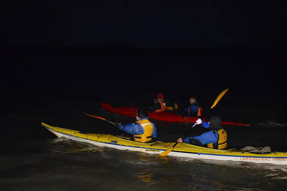 IMG-20250620-WA0150