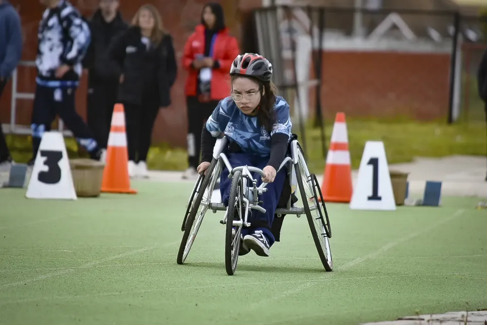 MDSII_CIERRE_PARAARAUCANIA