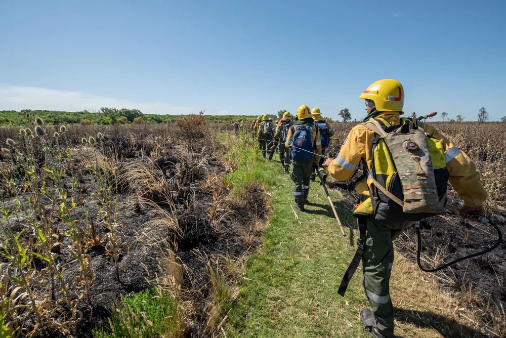 02d4e26a-566e-4a7a-aef0-86f9ed96b0f0