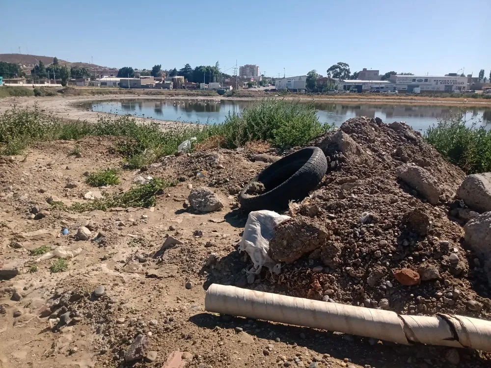 WhatsApp Image 2024-01-29 at 13.55.28