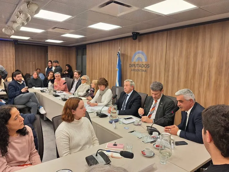 los-rectores-de-las-universidades-publicas-con-los-diputados-blanca-osuna-uxp-julio-cobos-8ucr9-entre-otros-foto-prensa-democracia-para-siempre-FEY7YBVRGREGFJPHPYUC6DSUPU