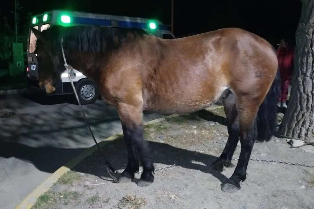 FB_IMG_1713317939802