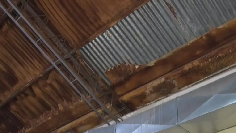 Diseño sin título (17)