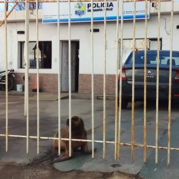 383834062_643921984592290_7080948065500825316_n