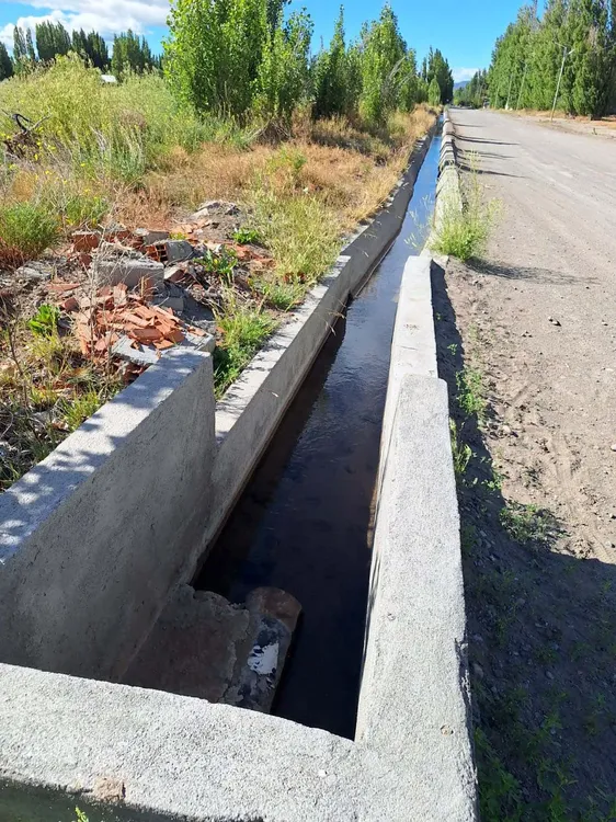 WhatsApp_Image_2025-01-11_at_15.35.03_5