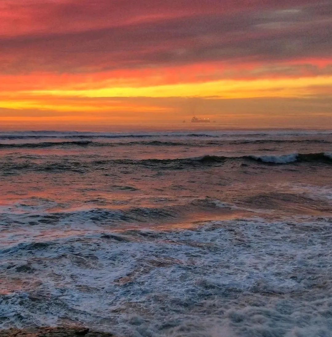 Screenshot_20231226-071103-01