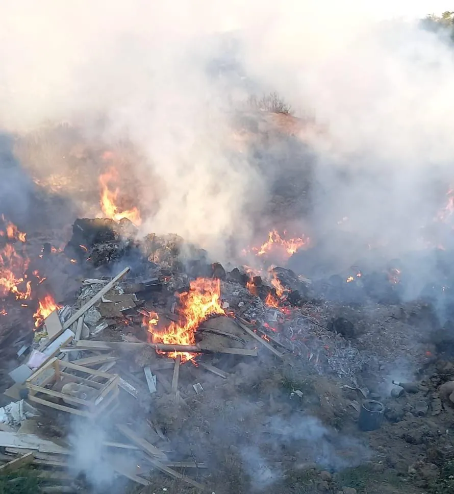 WhatsApp_Image_2026-01-20_at_14.26.22