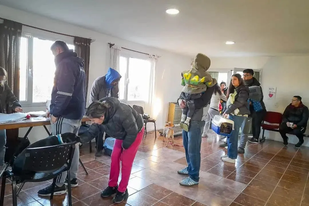 WhatsApp Image 2025-04-14 at 17.44.32 (1)