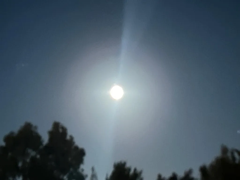 IMG-20231224-WA0056