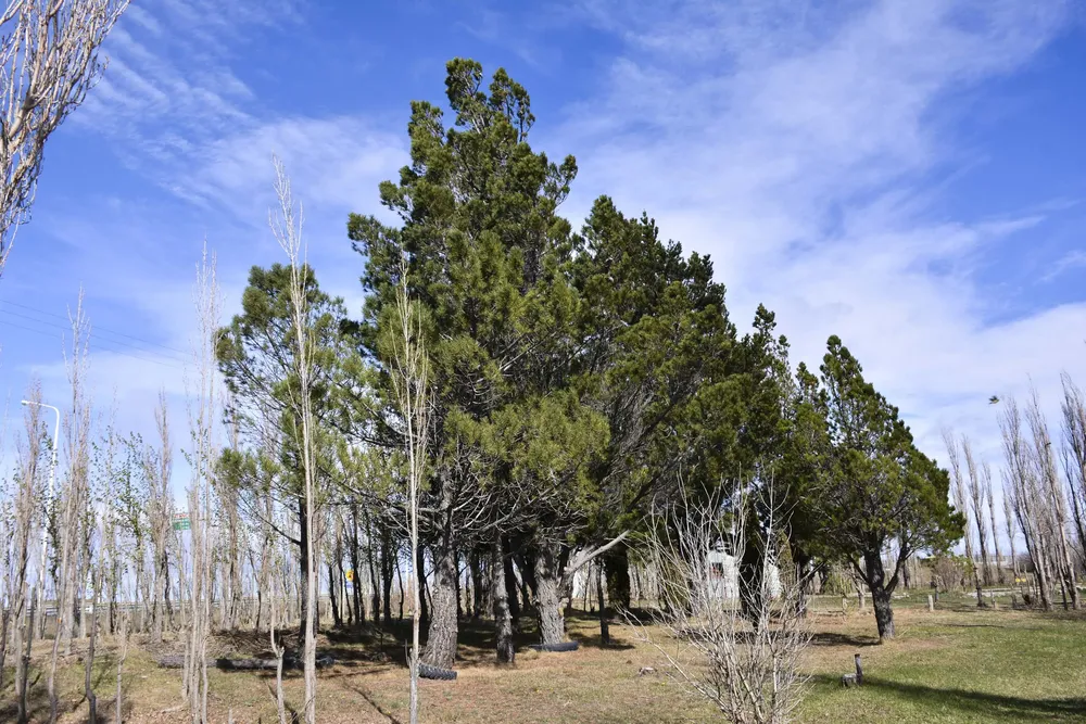 20251009_CAP_RUTA_3_13