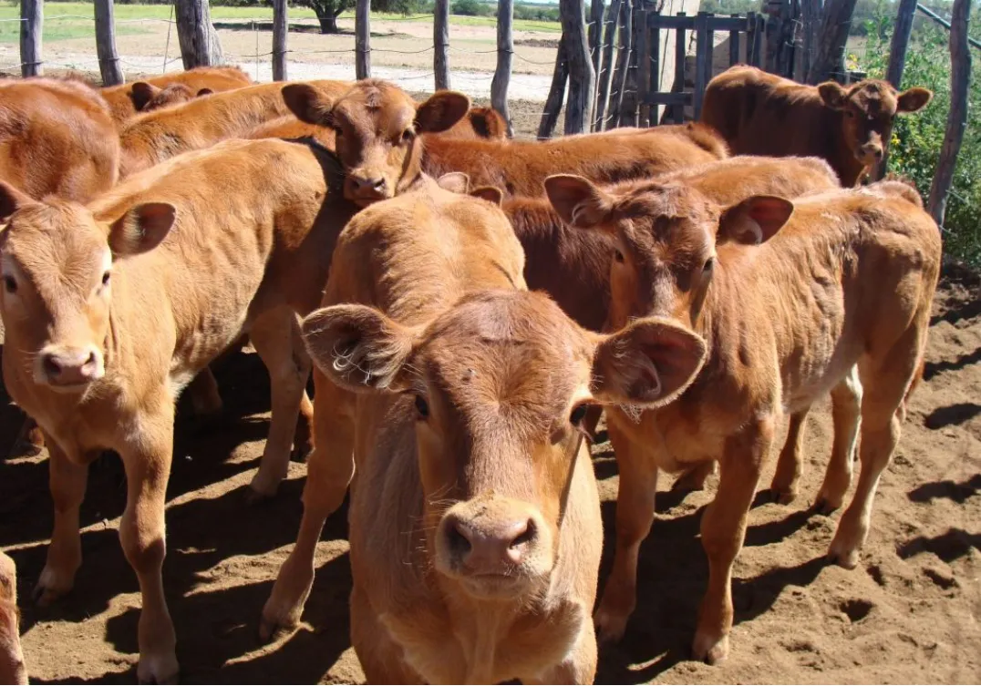 Screenshot_20231229-213119-01